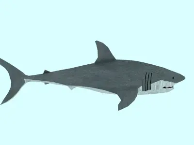 shark made in blender Low-poly 3D model