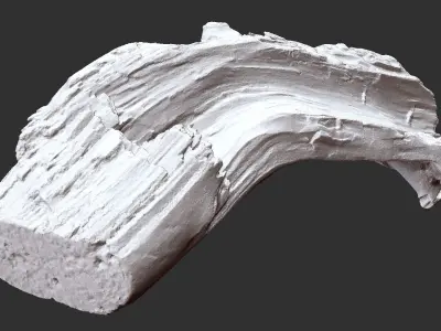 Tree trunk 3d scan in highpoly 3D model