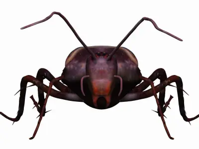 Home Cockroach Low-poly 3D model