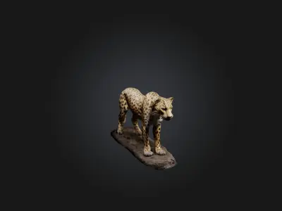 Realistic Wounded Leopard Model Low-poly 3D model