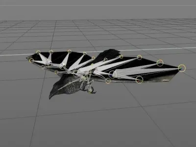 Crow animations Low-poly 3D model