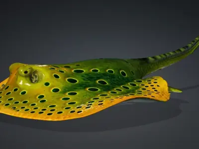 Ray Fish A2 Free 3D model