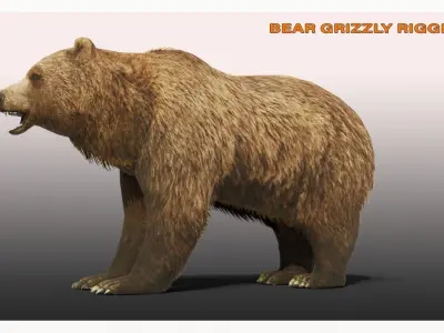 BEAR LOW-POLY RIGGED Low-poly 3D model