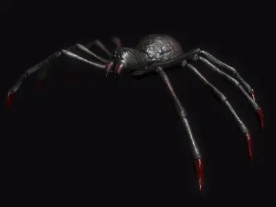 Spider Low-poly 3D model 6