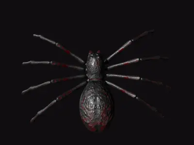 Spider Low-poly 3D model 6