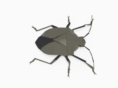 Bug low poly polygonal Low-poly 3D model