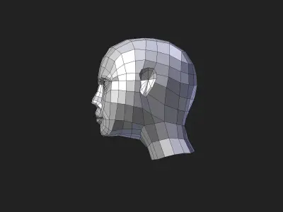 human head Free low-poly 3D model