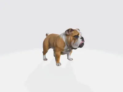 3d Rendering High Resolution Bulldog 3d Modern Trendy Model  3D model