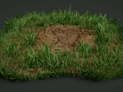 A detailed model of the grass Texture