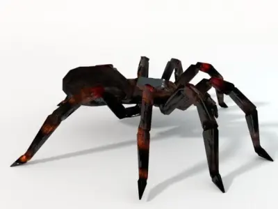 Tarantula spider Low-poly 3D model purchase