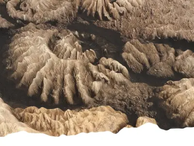 Ammonite Fossil 3D model