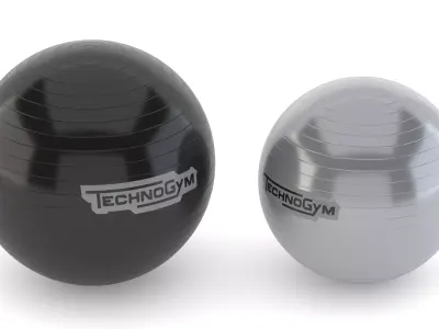 Technogym Accessories Wellness Ball Training 3D model