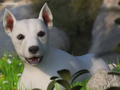  West Highland White Terrier Rigged 