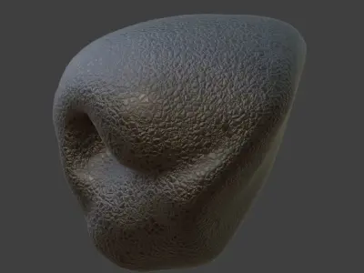 Dog Nose  Low-poly 3D model