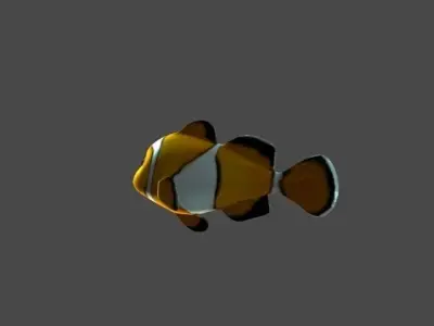 Nemo Modeling 3D model