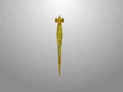 Seahorse fish 3D model Rigged Low-poly 3D model