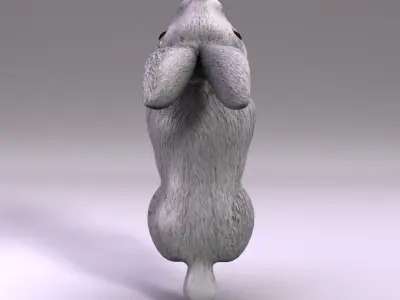 Rabbit Low-poly 3D model get