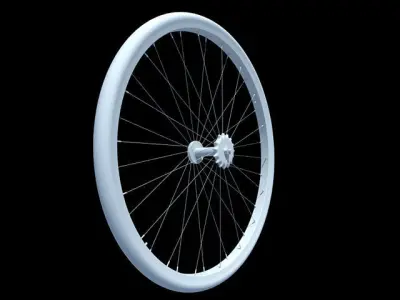 Detailed Bike Wheel 3D model