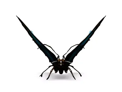 Realistic Blue Butterfly 3D Model Low-poly 3D model
