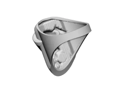 Fury Mad Skull Car Grille Piston Ring Jewellery Signet 3D print model purchase