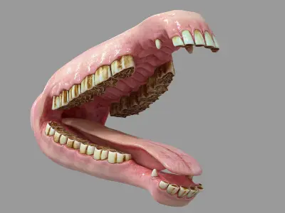  Horse Mouth HD 