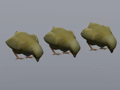 Chick  Low-poly 3D model