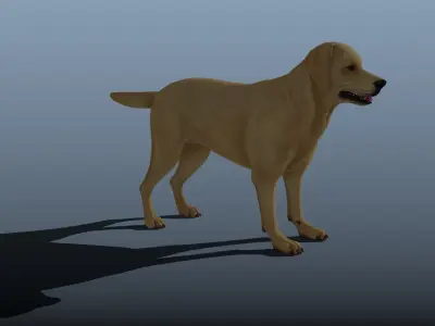 Dog rigged and animated 3D model