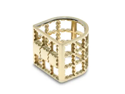 Fishing Cage Ring Free 3D print model