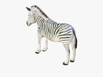 Zebra Free 3D model purchase