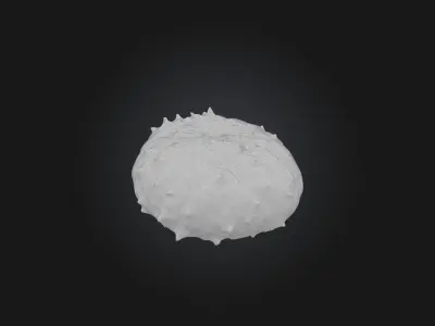 Infected Spleen Low-poly 3D model