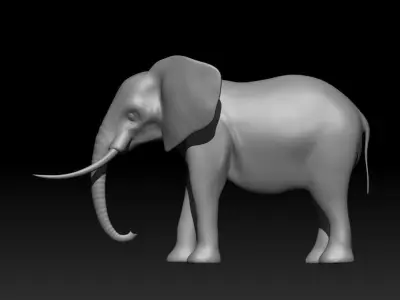 Elephant Base Mesh from Valeanu Andrei Low-poly 3D model
