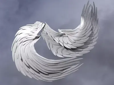 Spiral Curved Wings 3D model