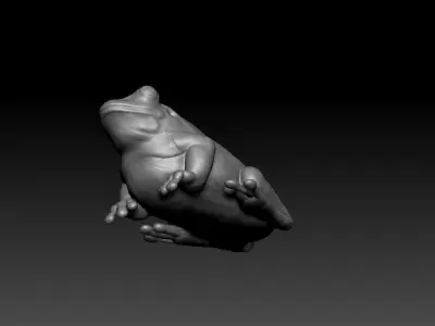 Marvelous Frog sculpt 3D model