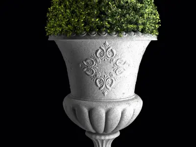 Plant Collection 04 3D model