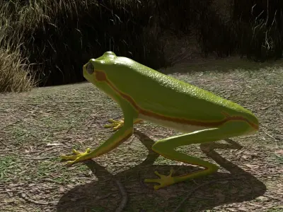 Tree frog Low-poly 3D model purchase