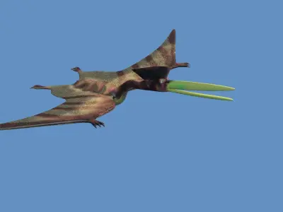 Hatzegopteryx  dinosaur 3D model