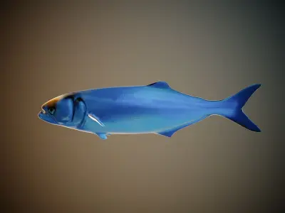 Fish PBR animation rigging Low-poly 3D model