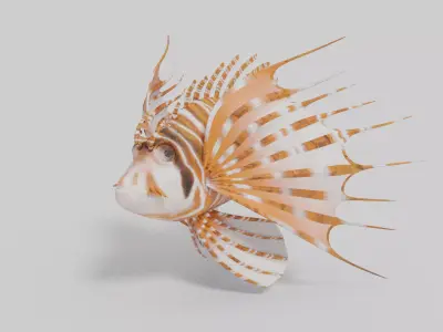Broadbarred Farefish 3D Model 3D model