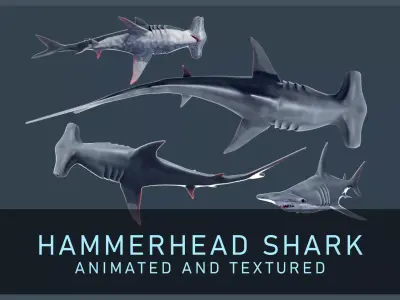 Hammerhead Shark Low-poly 3D model purchase