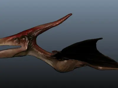 Pteranodon dinosaur flying in sky 3D model