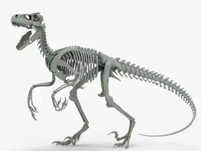 Atrociraptor Rigged Skeleton Low-poly 3D model