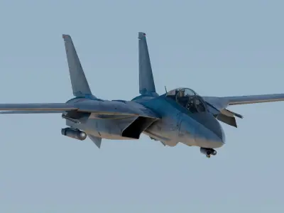 Grumman F-14 Tomcat 3D model