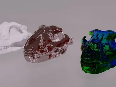 animal skull  3D model