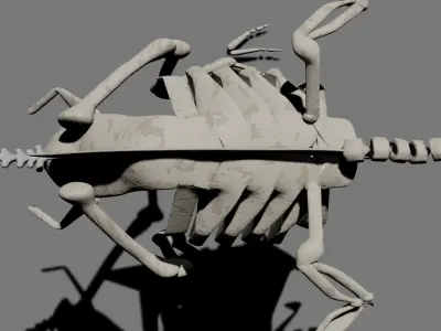 bird skeleton 3D model