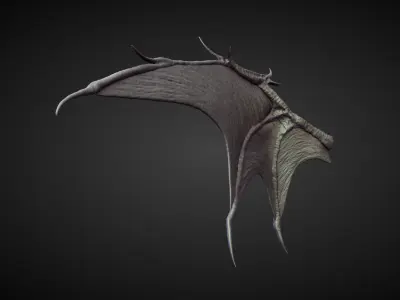 WING27 high poly sculpt 3D model