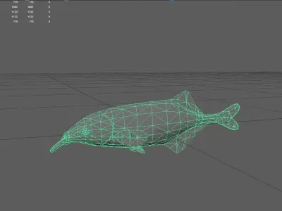 Elephant fish Low-poly 3D model