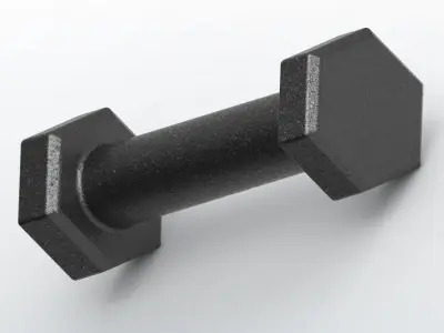 HEXAGONAL DUMBBELL PACK 3D print model