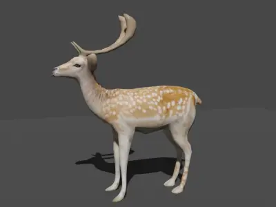 AXIS DEER LOWPOLY Low-poly 3D model