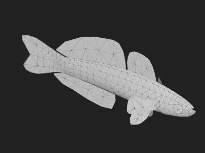 Bass fish Low-poly 3D model 8