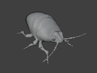colorful beetle Low-poly 3D model